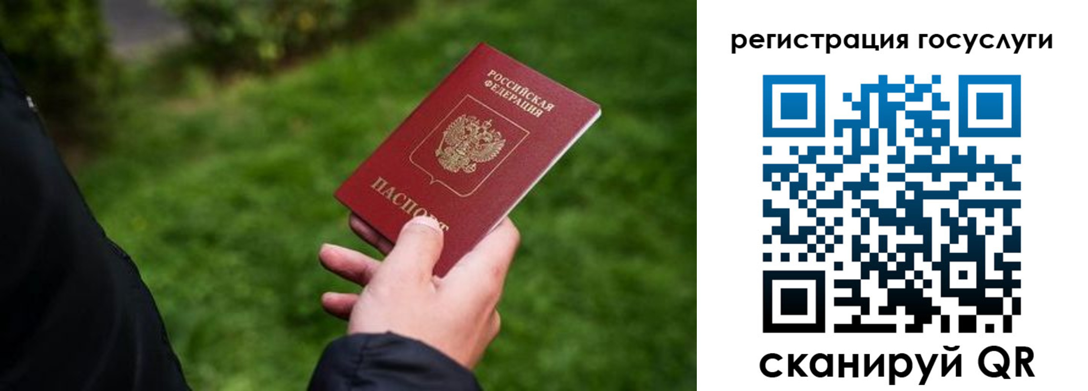 прописка в Солнечногорске